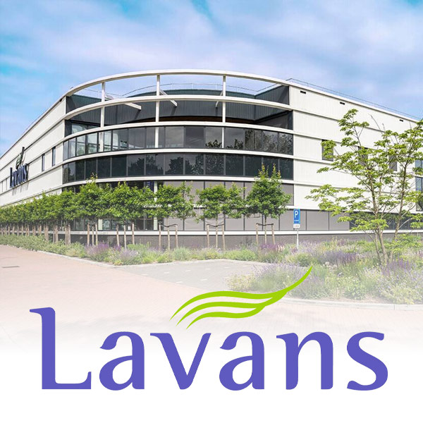 Lavans